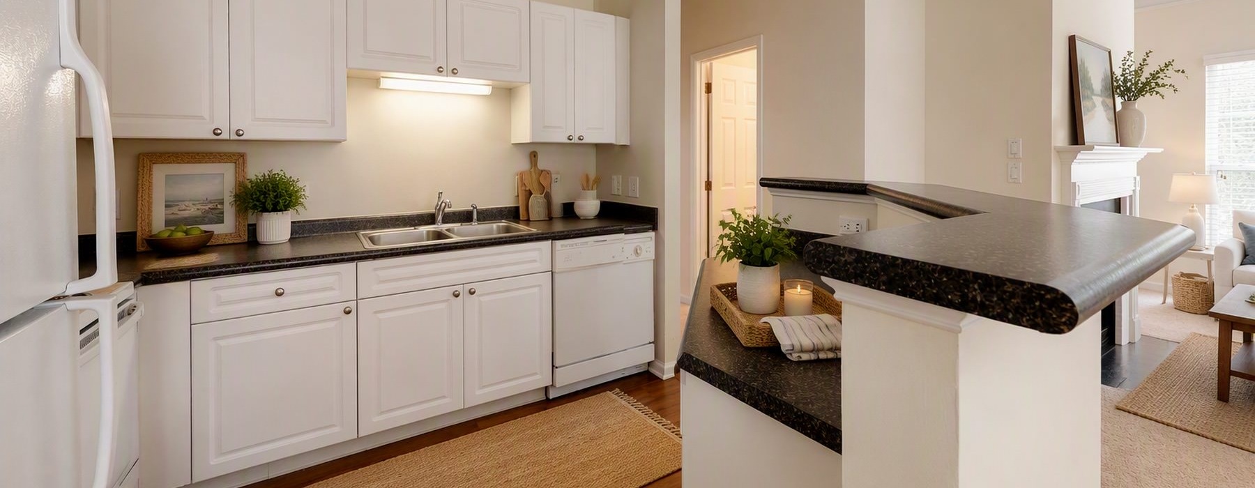 furnished, spacious kitchen next to living room